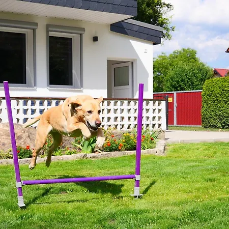 Апартаменты Haus Kleiner Findling Im Lausitzer Seenland *