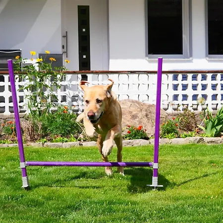 Haus Kleiner Findling Im Lausitzer Seenland Apartamento